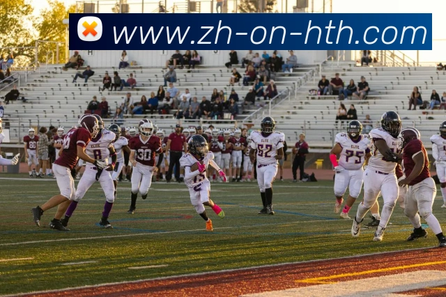 App Interface Preview